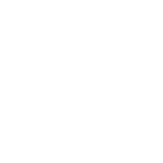 اخبار